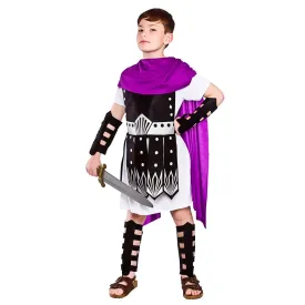 Boys Roman Warrior Costume Purple