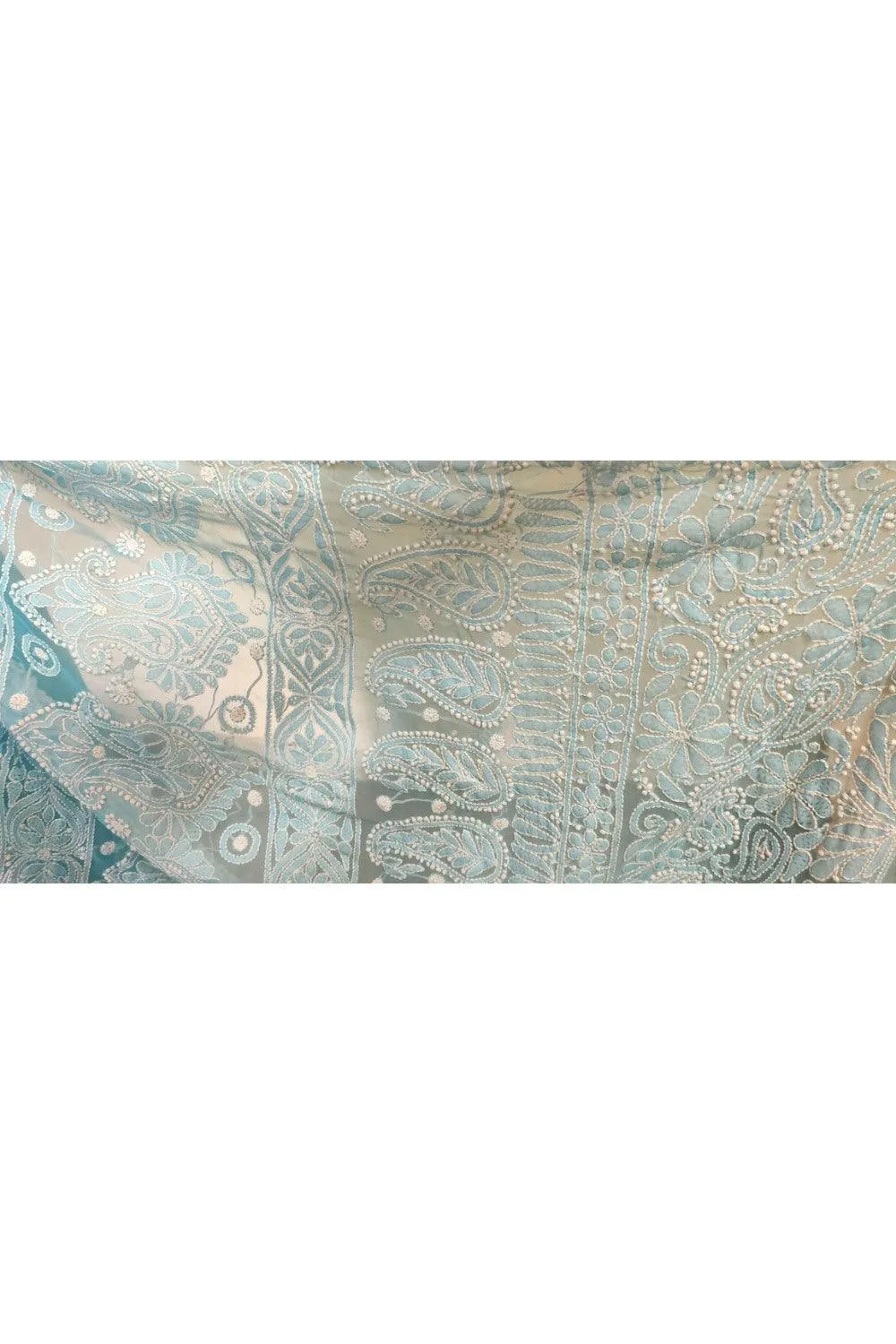 Hand Embroidered Heavy Chikankari Sky Blue Chiffon Saree CK75