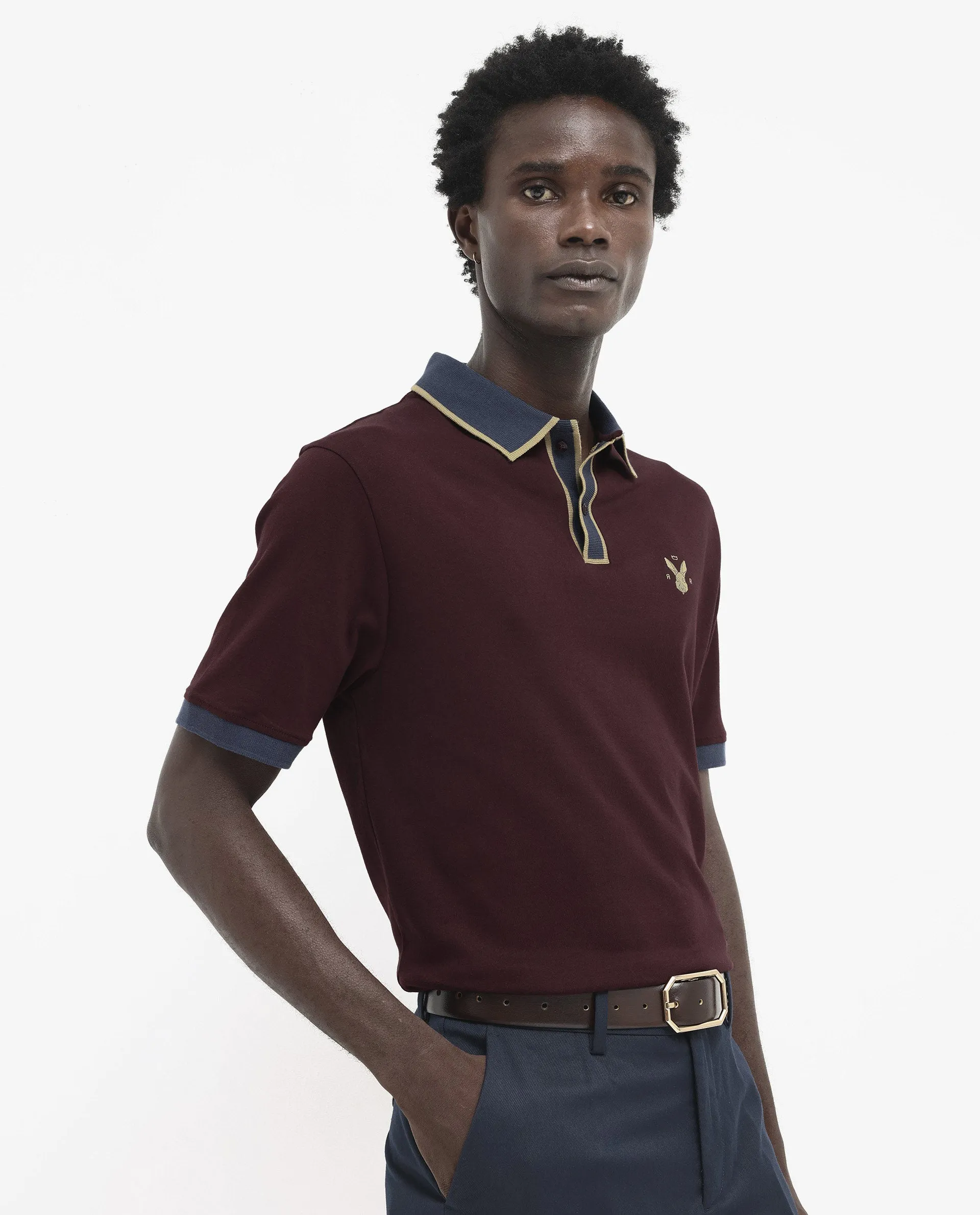 Rare Rabbit Men's Lark Dark Maroon Contrasting Collar And Half Sleeves Regular Fit Plain Knitted Polo T-Shirt